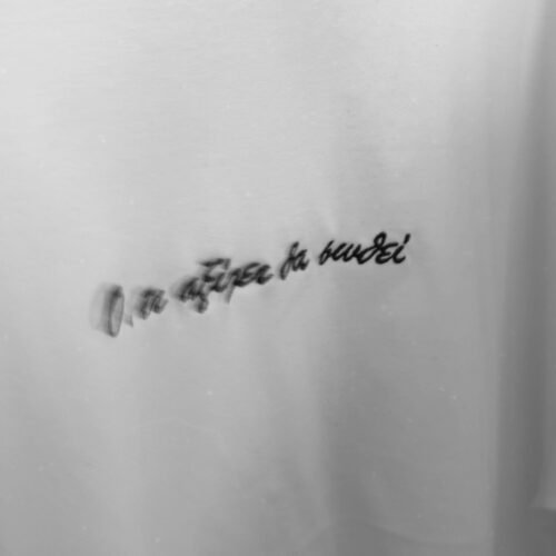 Ό,τι Αξίζει Θα Σωθεί - Oversized T-shirt